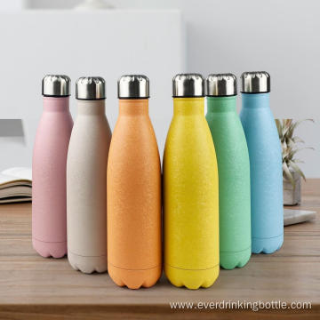 500ml Stainless Steel Crackle Vacuum Cola Bottle